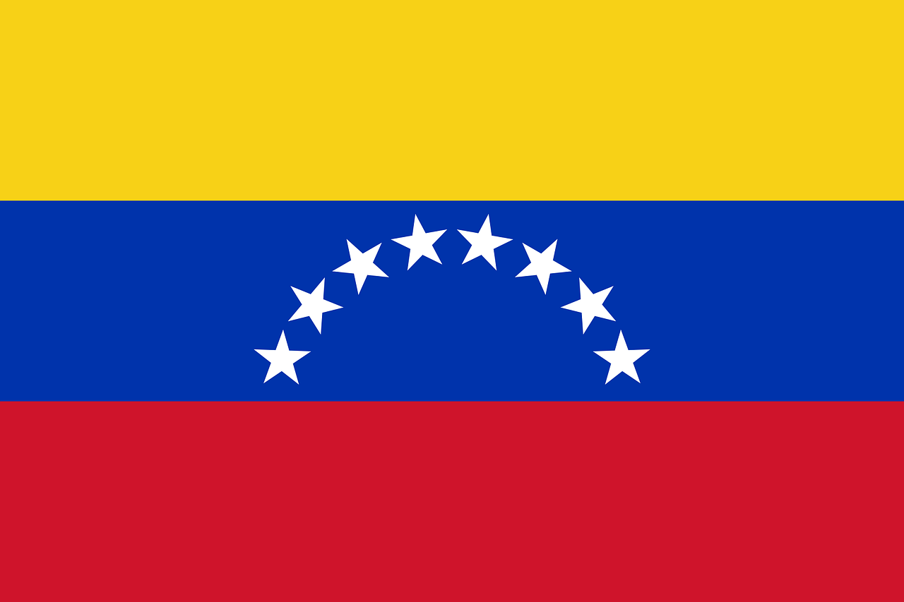 Venezuelan Flag